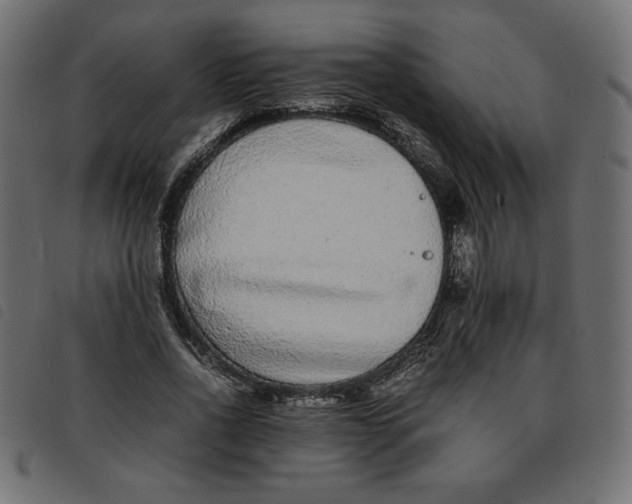 X0000092210734200710121128