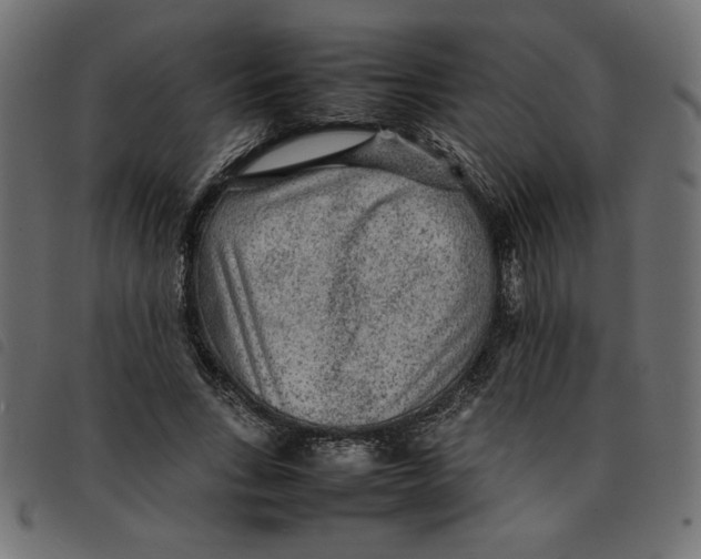 X0000092210735200710121128