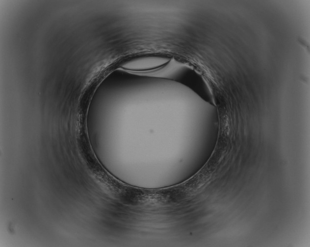 X0000092210736200710121128