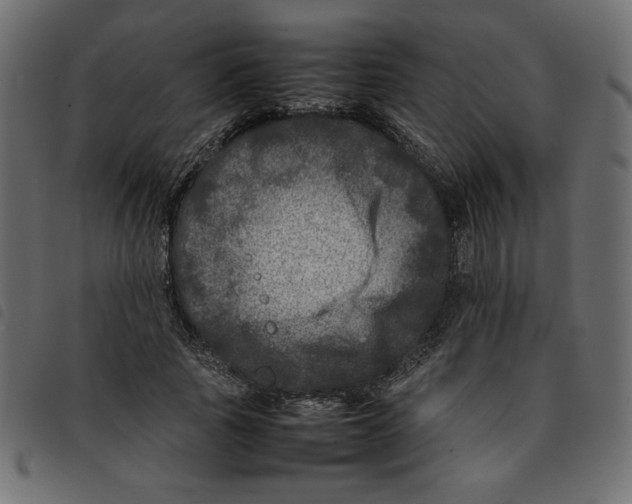 X0000092210737200710121128