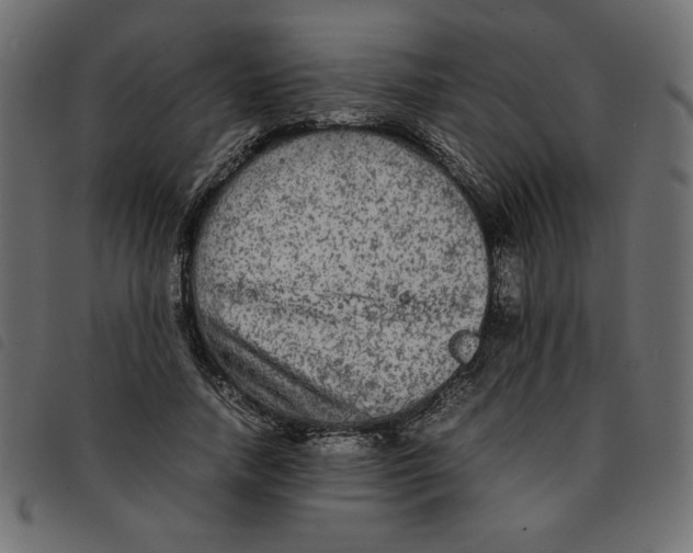 X0000092210738200710121128