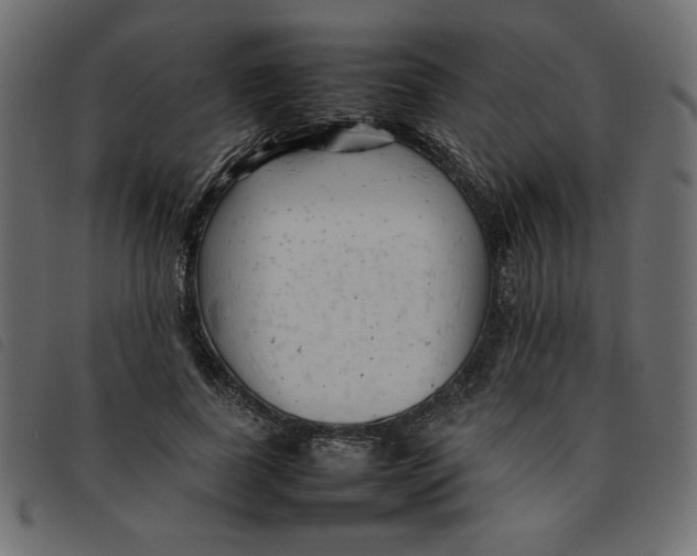 X0000092210739200710121128