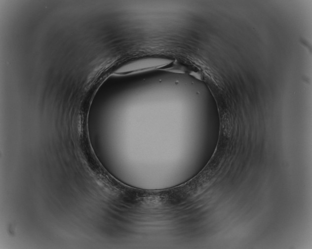 X0000092210740200710121128