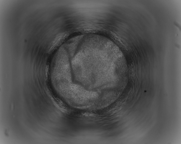 X0000092210742200710121128