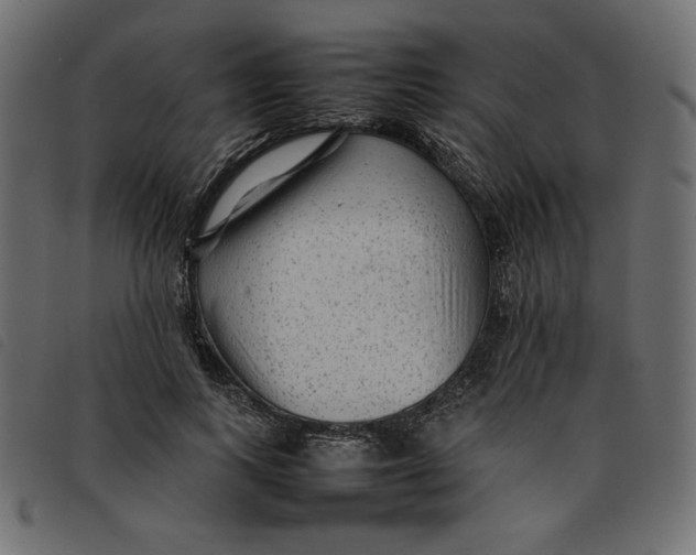X0000092210743200710121128