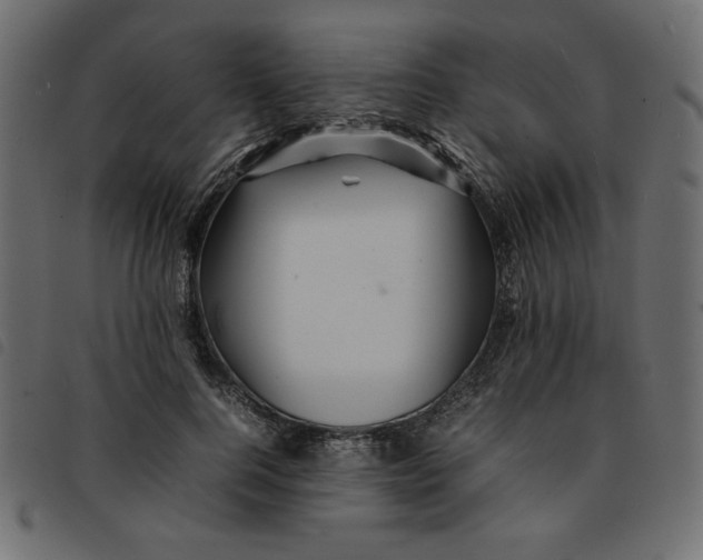 X0000092210744200710121128