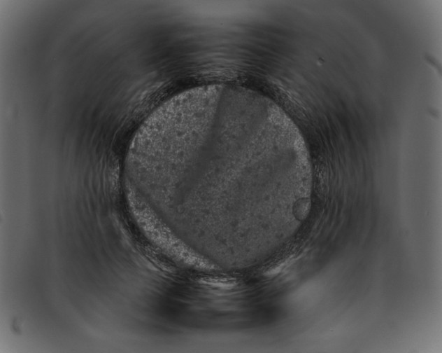 X0000092210745200710121128