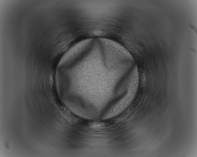 X0000092210746200710121128