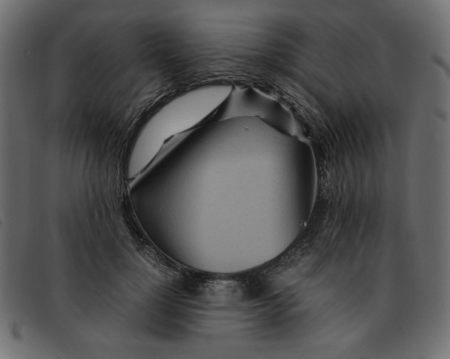 X0000092210748200710121128