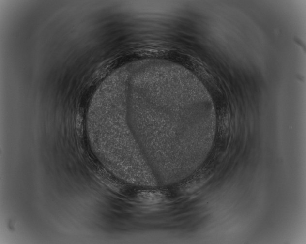 X0000092210749200710121128