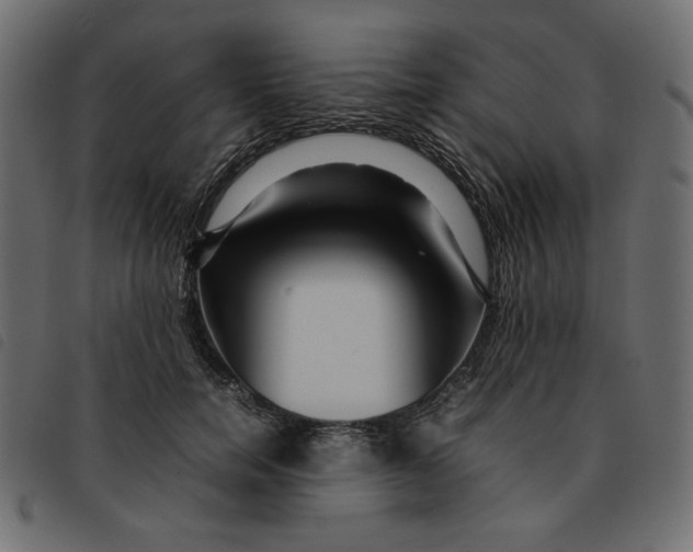 X0000092210750200710121128