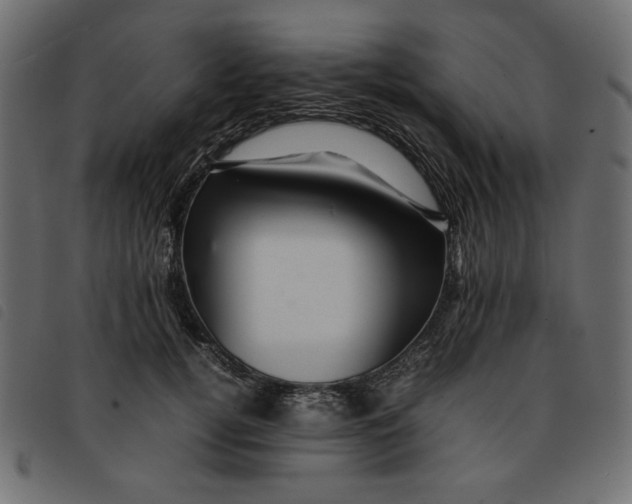 X0000092210752200710121128