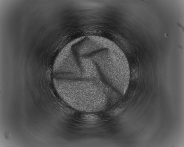 X0000092210753200710121129