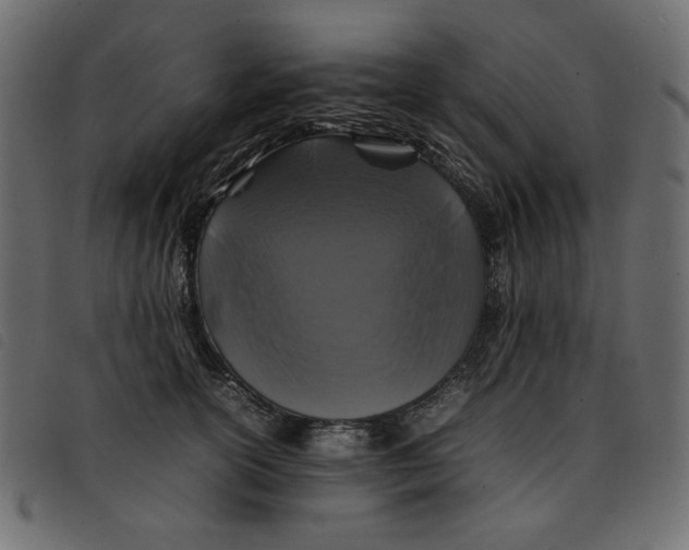 X0000092210754200710121129