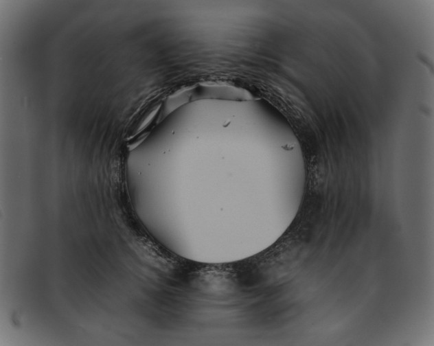 X0000092210756200710121129