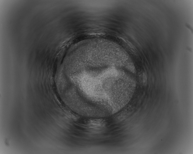 X0000092210757200710121129