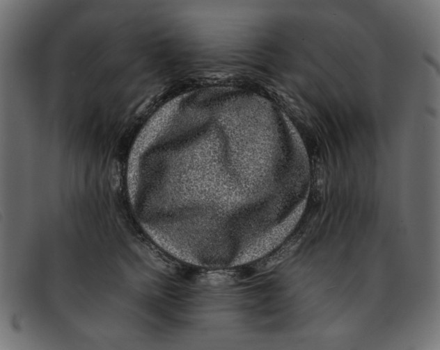 X0000092210758200710121129