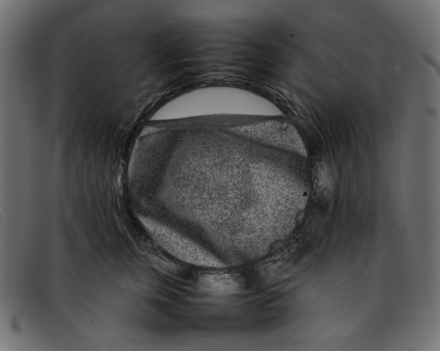 X0000092210759200710121129