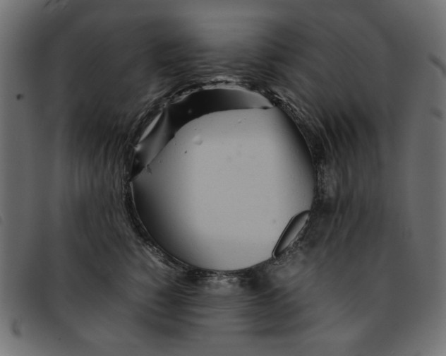 X0000092210760200710121129