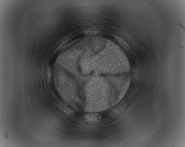 X0000092210761200710121129