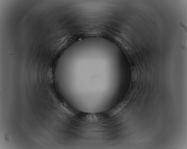 X0000092210764200710121129