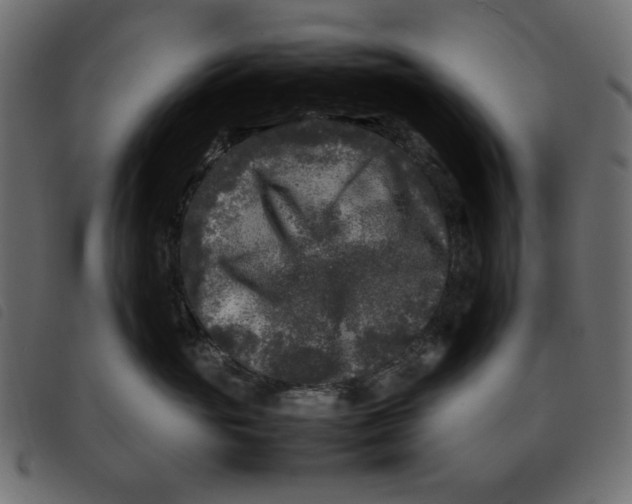 X0000092210765200710121129