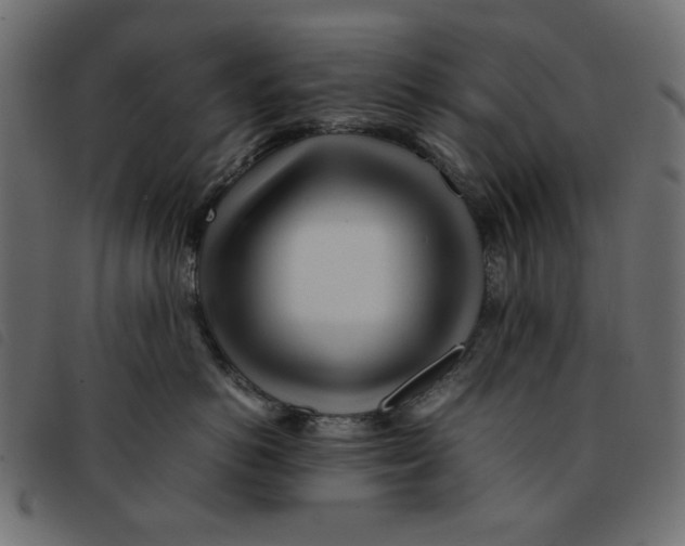X0000092210766200710121129