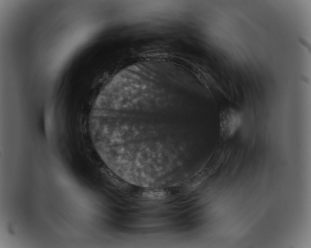 X0000092210767200710121129