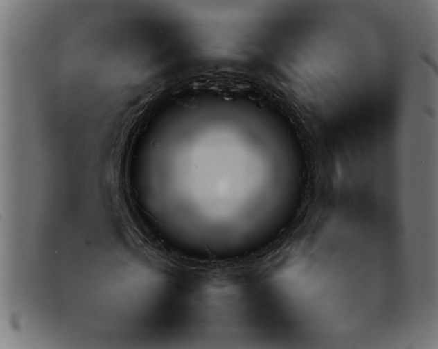 X0000092210769200710121128