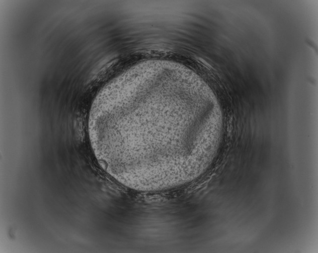 X0000092210774200710121128