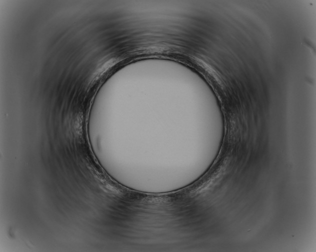 X0000092210778200710121128