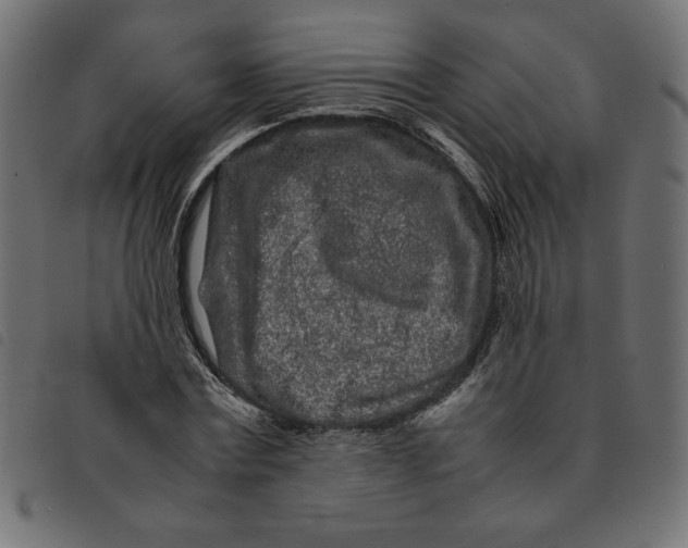 X0000092210779200710121128