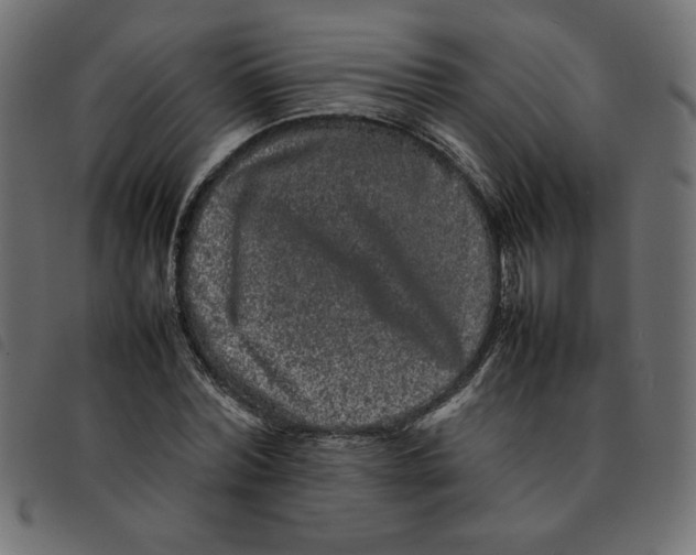X0000092210780200710121128
