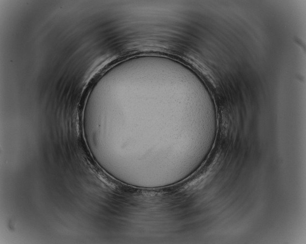 X0000092210782200710121128