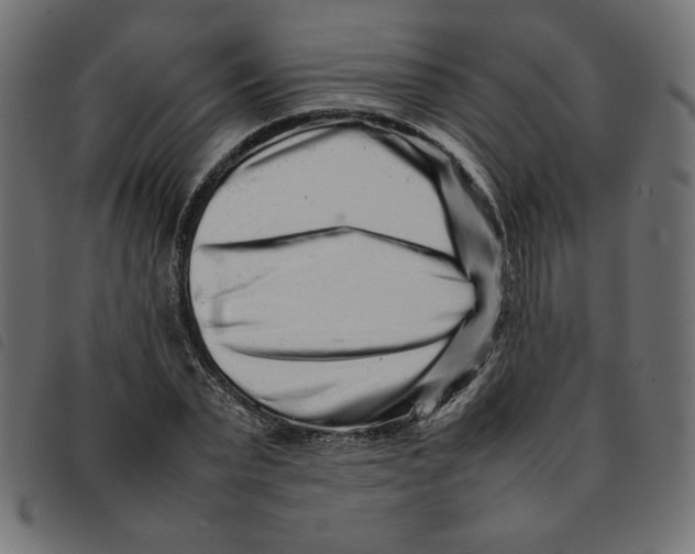 X0000092210783200710121128