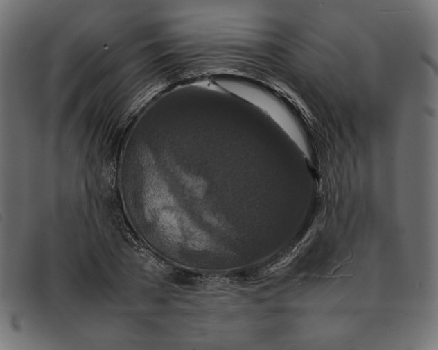X0000092210785200710121128