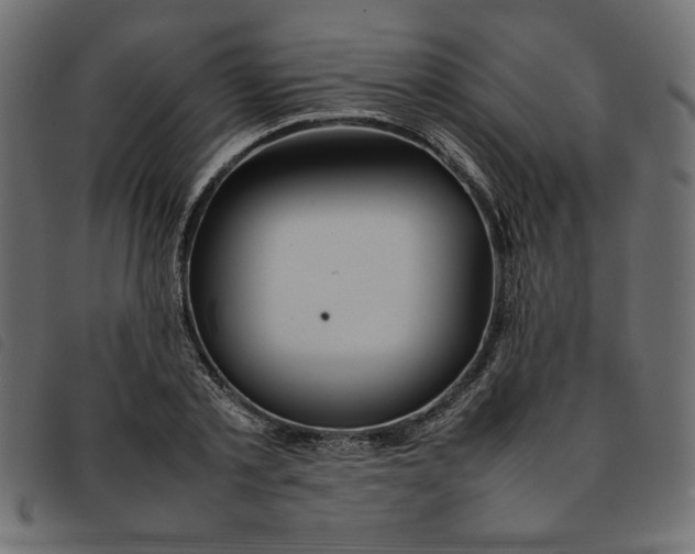 X0000092210789200710121128