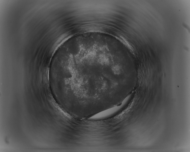 X0000092210790200710121128