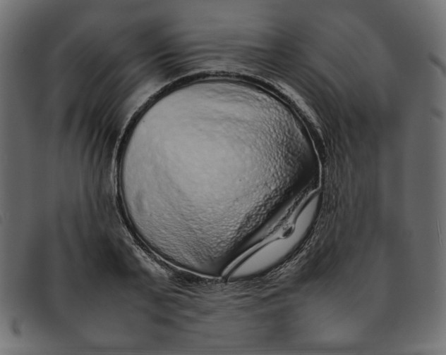 X0000092210791200710121128
