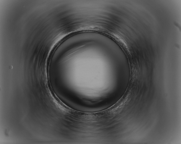 X0000092210792200710121128