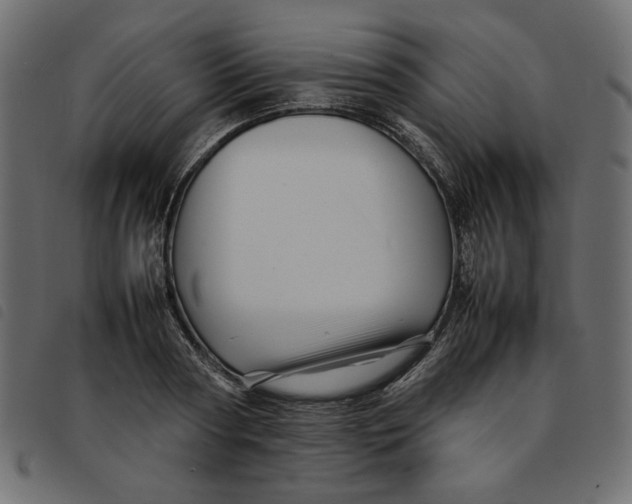 X0000092210794200710121128