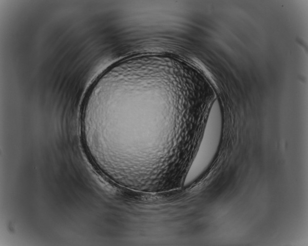 X0000092210795200710121128