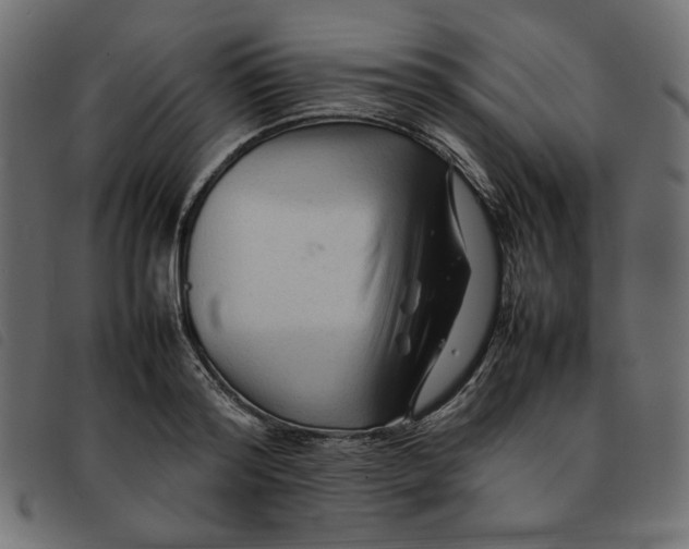 X0000092210796200710121128