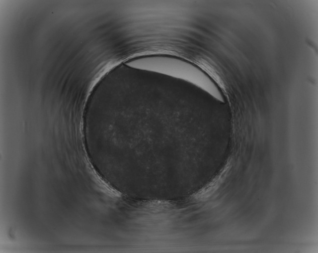 X0000092210797200710121128