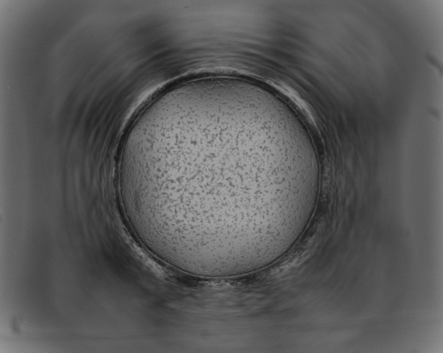 X0000092210799200710121128