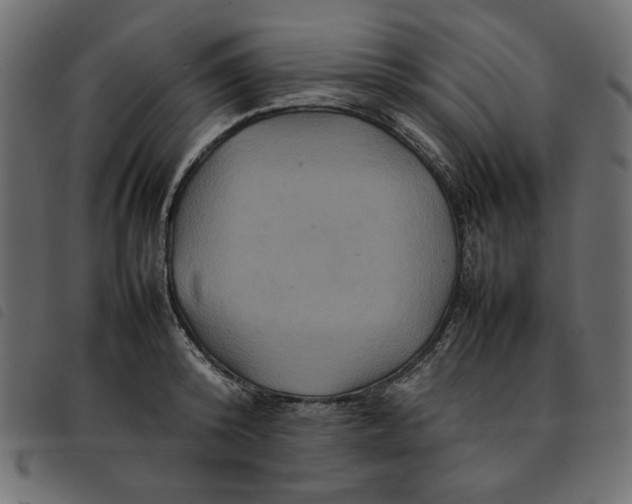 X0000092210800200710121128