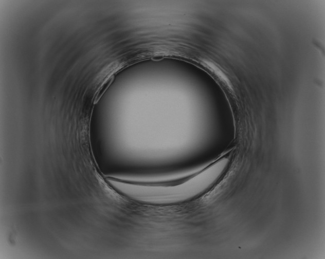 X0000092210801200710121128