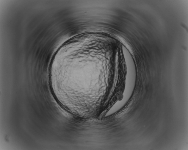 X0000092210803200710121128