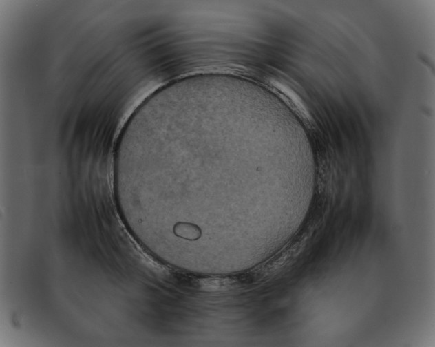 X0000092210804200710121128