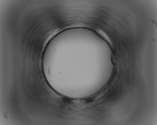 X0000092210805200710121128
